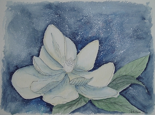 Magnolien I